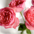 施術予約までの流れ